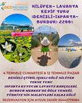 NİLÜFER-LAVANTA KEYİF TURU